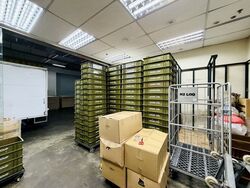 Enterprise One (D14), Factory #557056671